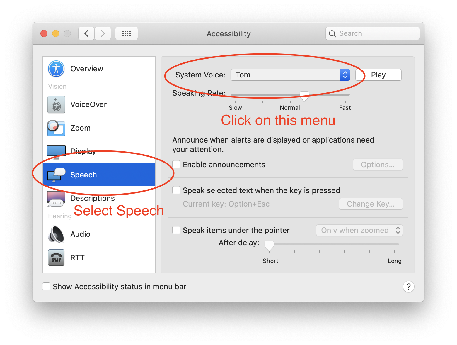 Image of the System Preferences window (Accessibility section)